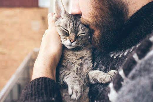 Mann mit Bart schmust mit Katze nah am Gesicht.