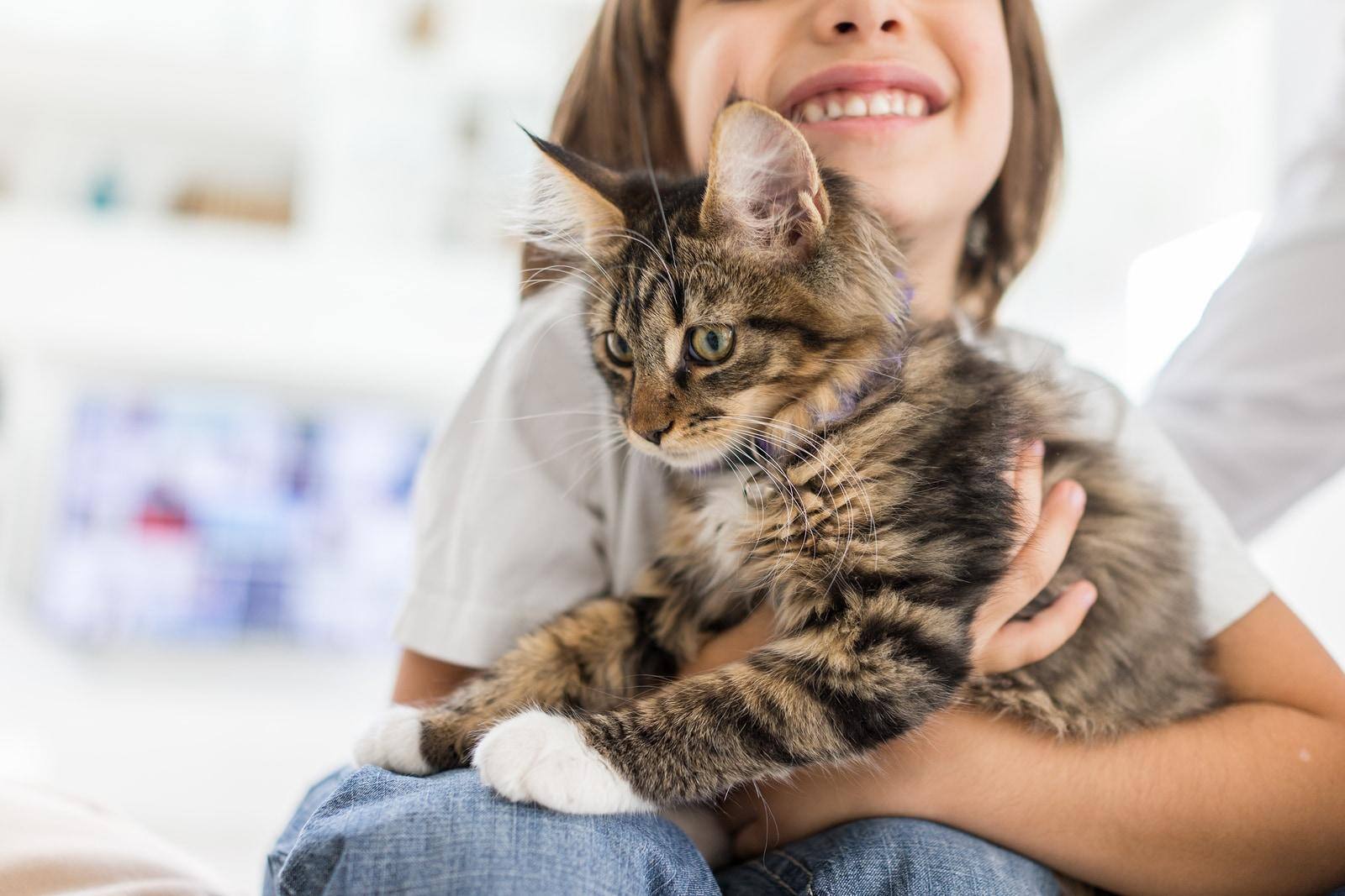 Glückliches Mädchen spielt zu Hause mit gestreifter Katze
