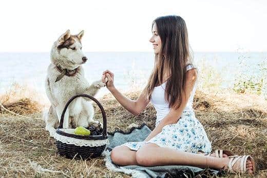 Junge Frau mit rotem sibirischen Husky