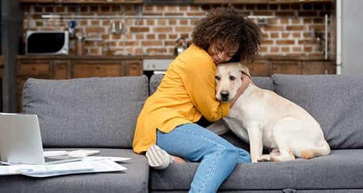 Frau in gelbem Sweatshirt umarmt ihren gelben Labrador auf einer grauen Couch.