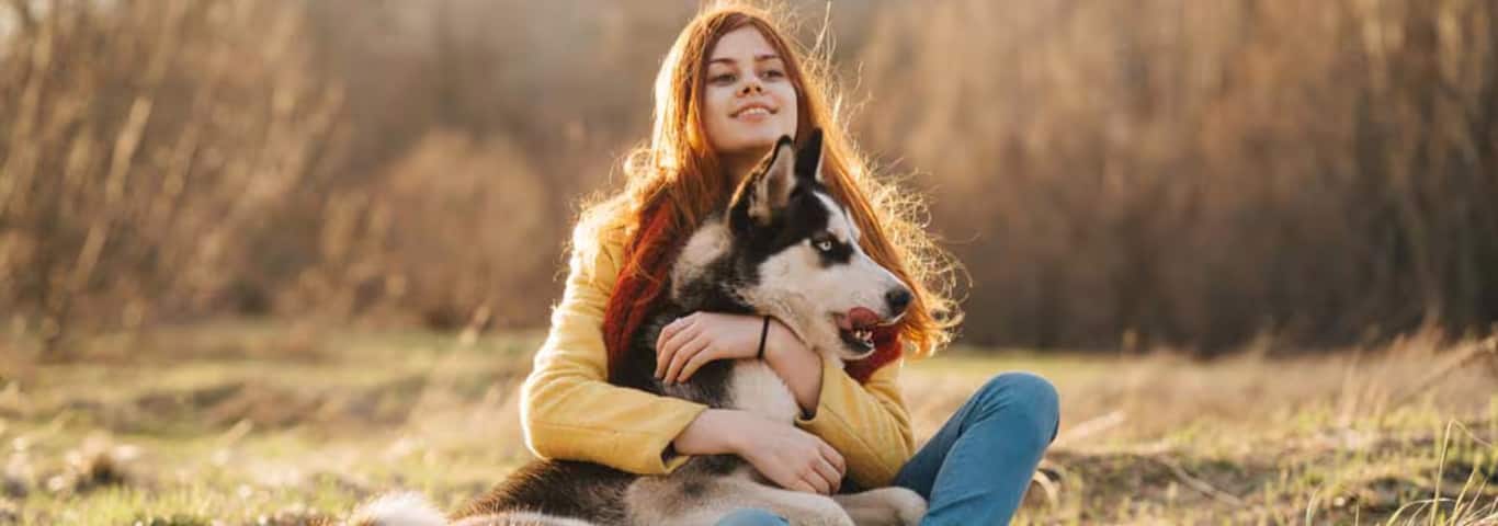 Foto eines Siberian Husky-Hundes