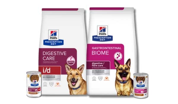 Prescription Diet Digestive care Hundefutter