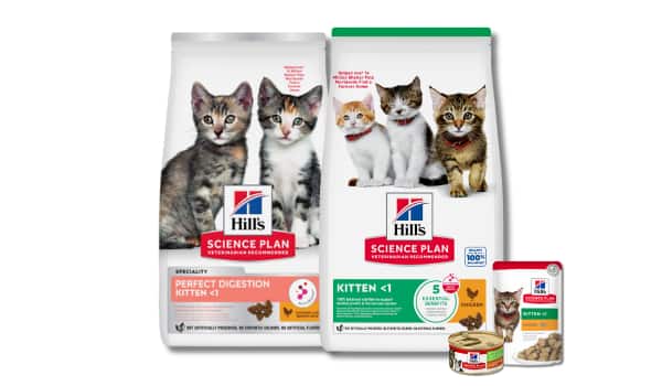 Drei Packungen Hill's Science Plan Trocken- und Nassfutter für Kitten.