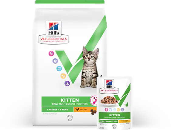 Eine Packung Hill's Vet Essentials Multi-Benefit Trocken- und Nassfutter für Kitten.