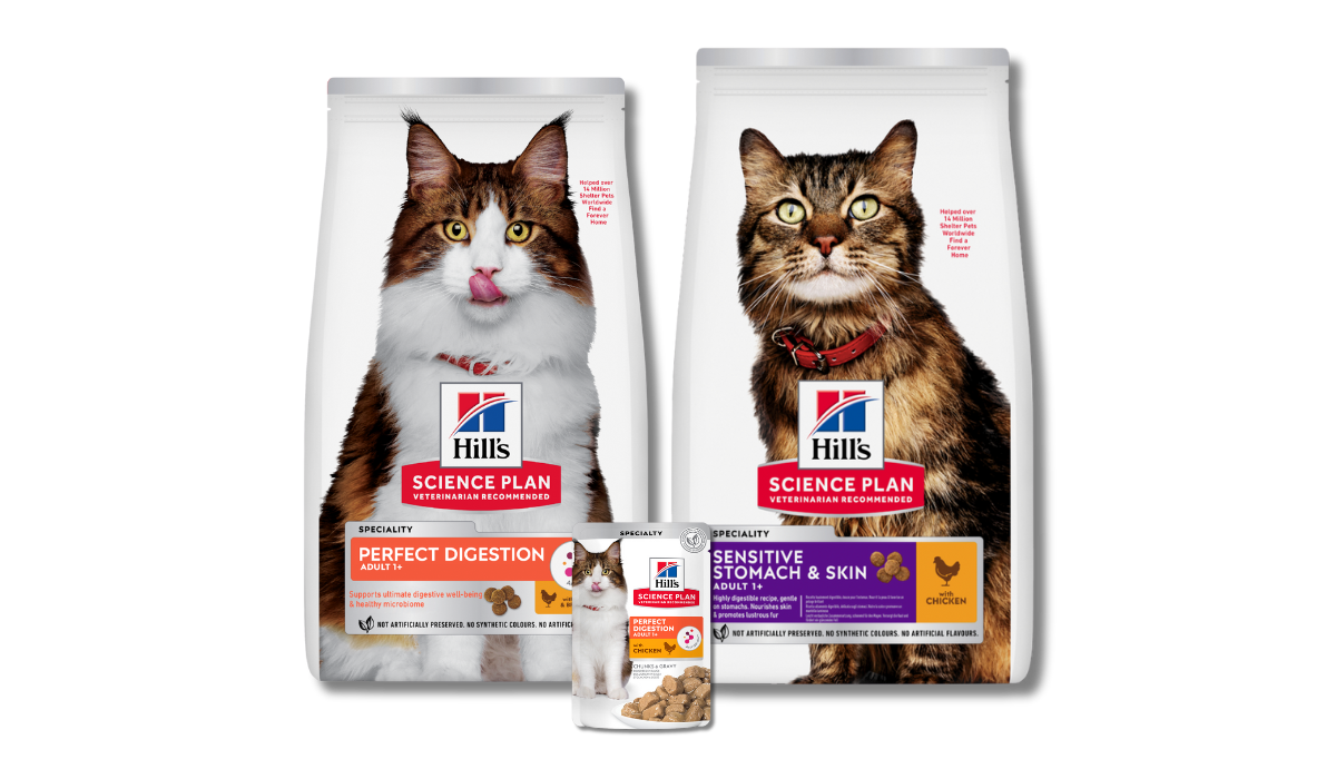 Science Plan Digestive health Cat Foods