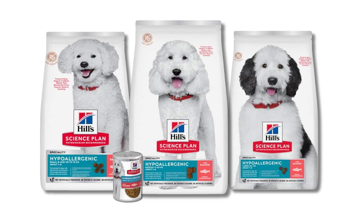 Hundefutter ohne Mais, Weizen oder Soja