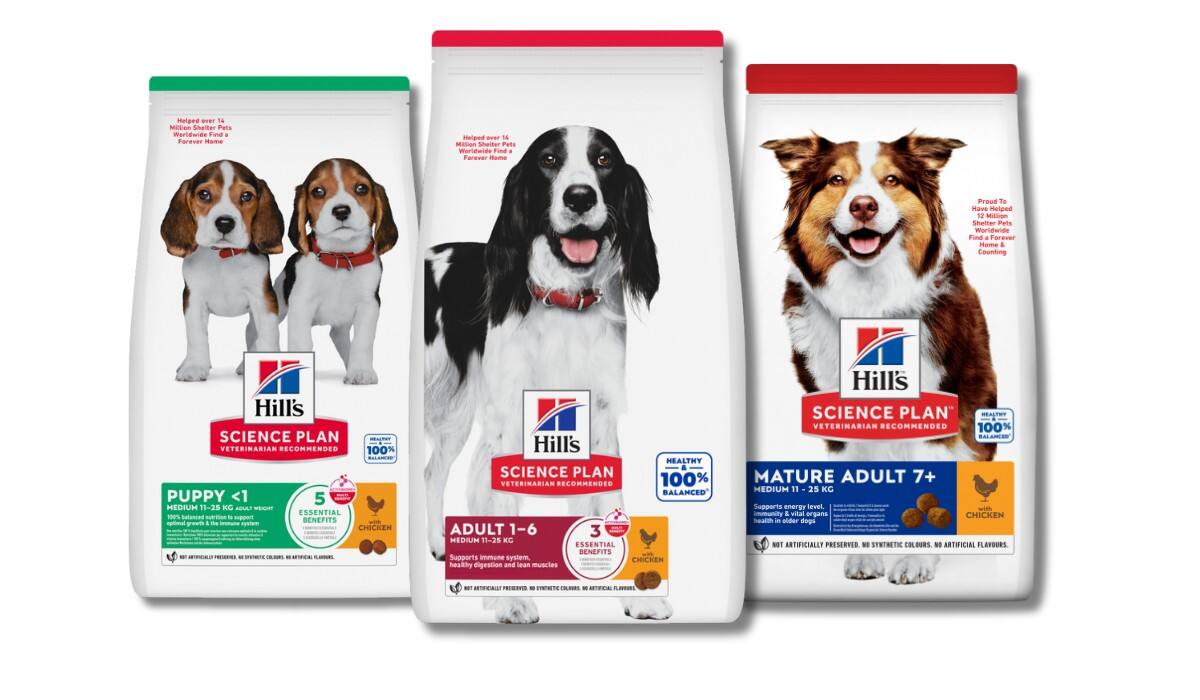 Hundefutter für Lebensphasen
