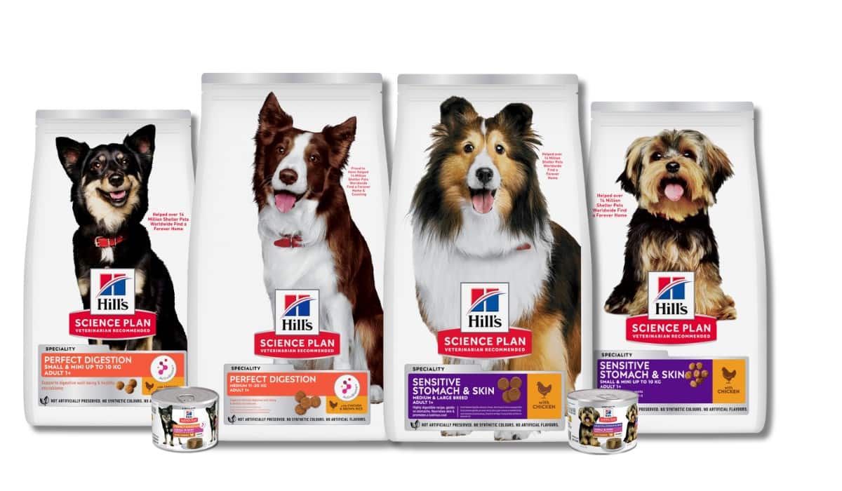 Hundefutter für eine gesunde Verdauung