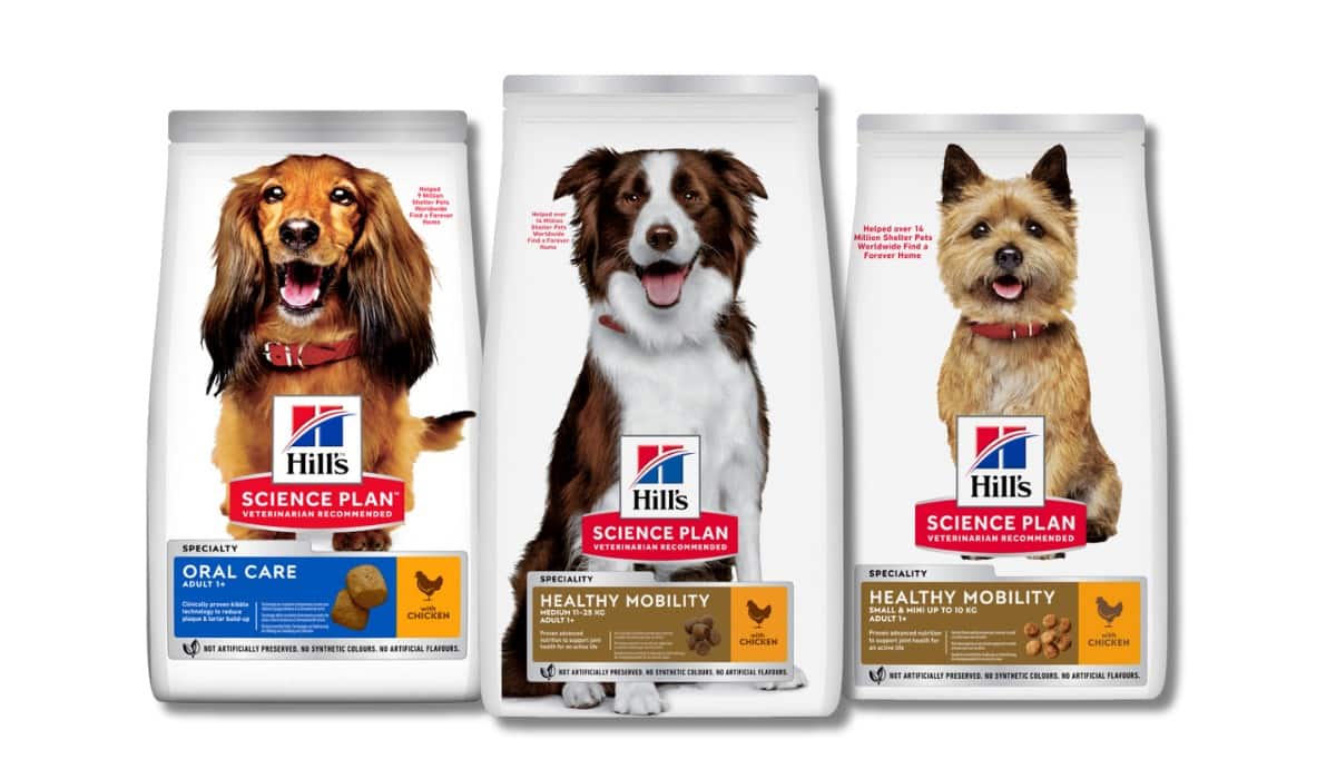 Science Plan Hundefutter