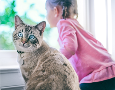 Ein kleines Mädchen sitzt neben einer übergewichtigen Katze