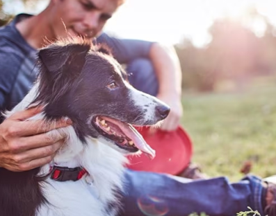Ein Mann streichelt seinen Hund