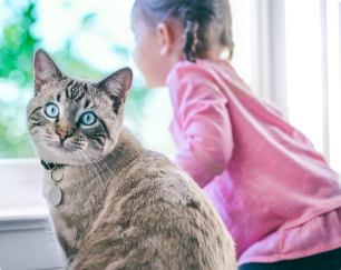 Ein kleines Mädchen sitzt neben einer übergewichtigen Katze