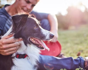 Ein Mann streichelt seinen Hund