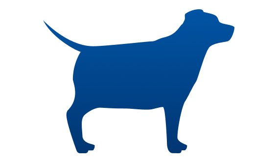 Dicklicher Hund
