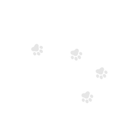 Pfotenabdrücke