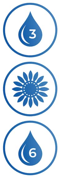 Icon omega 3, Blumen, omega 6